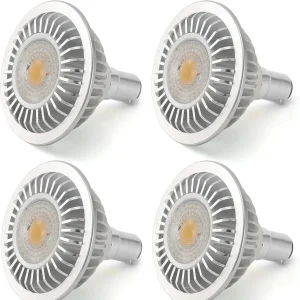 LED Light Bulb, AC/DC12V Input